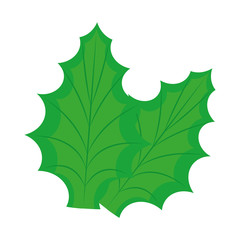 Fototapeta premium christmas leafs decorative icon vector illustration design