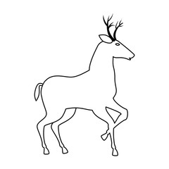 reindeer animal isolated icon vector illustration design