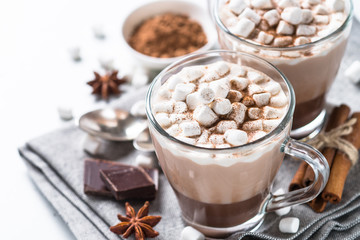 Hot chocolate or cocoa with marshmallow.