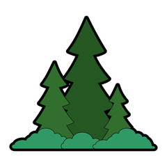 pine forest scene icon vector illustration design