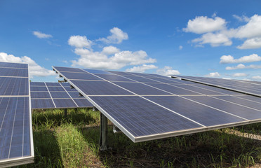 rows array of polycrystalline silicon solar cells in solar power plant turn up skyward absorb the...