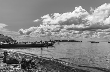 Viktoriasee in Kenia