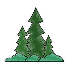pine forest scene icon vector illustration design