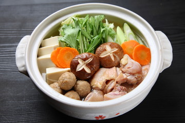Japanese hot pot CHANKO-NABE