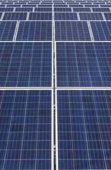 Close up rows array of polycrystalline silicon solar cells in solar power plant alternative renewable energy from the sun 