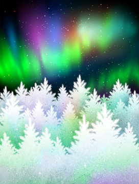Winter landscape background with northern lights