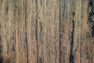Close up wooden background nature texture
