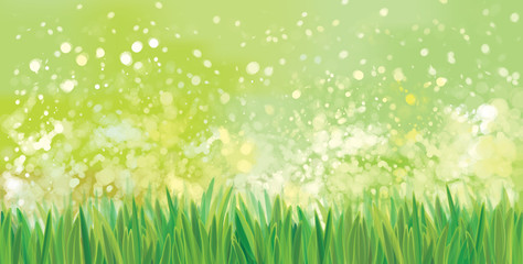 Fototapeta premium Vector green grass border, bokeh, nature background.
