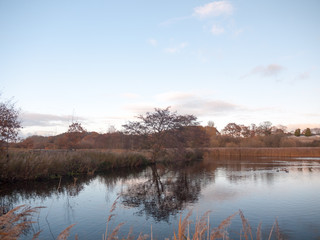 lake cold autumn day tree bare branches reflection surface water landscape