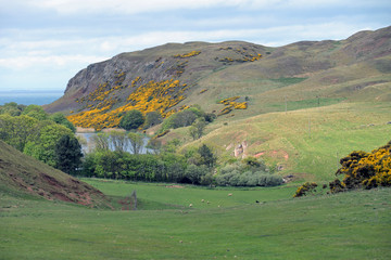 Taleinschnitt an St.Abbs Head Schottland