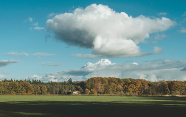 Fototapeta premium House at edge of autumn forest under blue cloudy sky.