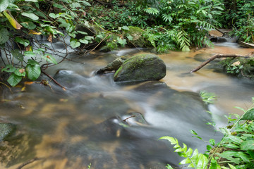 Naklejka premium Rocks and streams at Pha Dok Sieo Nature Trail, Chiangmai, Thailand
