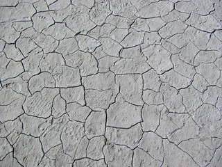 Dry ground, cracked, desert 