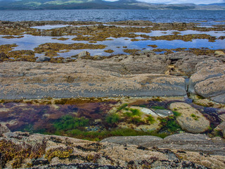 Rock pools on Wild Atlantic Way
