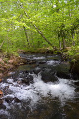 Whitewater Stream