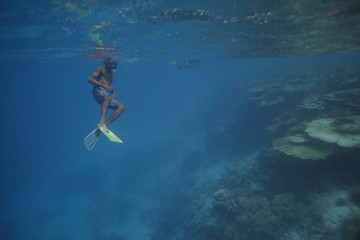 people snorkeling in blue water