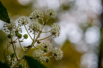 群馬の森