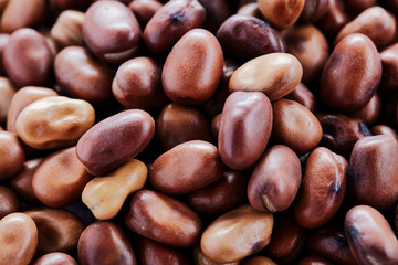 Favabohnen (Vicia faba), bildfüllend;   Ackerbohne, Saubohne, Schweinsbohne