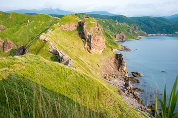 積丹半島、神威岬の夕暮れ前の夏風景、リアス式海岸、緑の低木と厳しい崖