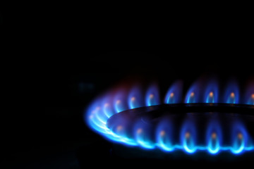 Gas burning in the burner over black background.