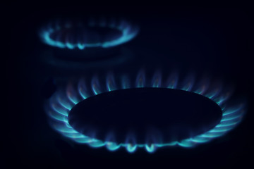 Gas burning in the burner over black background.
