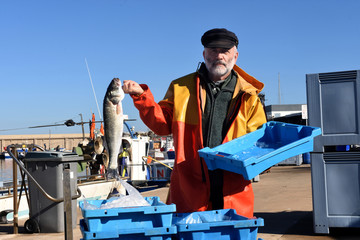 fisherman with a fish box inside a fishing boat