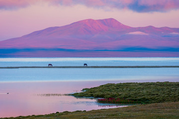 Song Kul lake with horses in sunrise - 182864402
