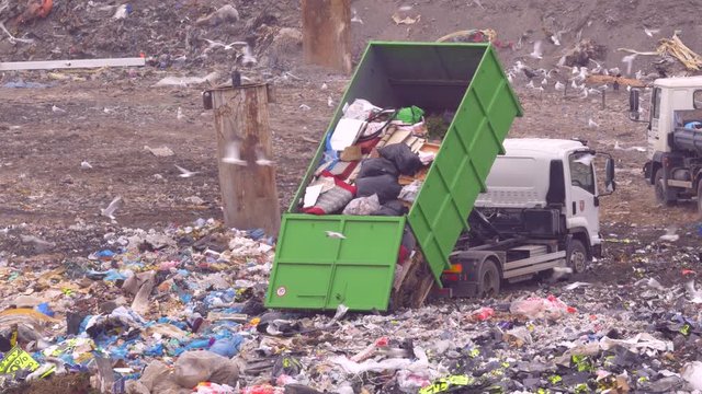 Garbage vehicles at the landfill surrounded by a flock of seagulls