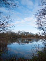 beautiful cold lake scene autumn branches water surface reflections trees
