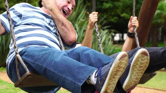 Friends/ Father and Son Playing in Swing