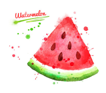 Watercolor illustration of watermelon