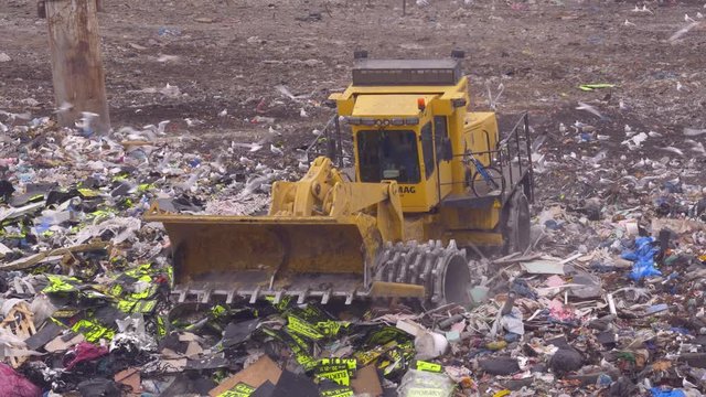 Garbage bulldozer surrounded by a flock of seagulls