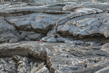 Hot lava flow from near on Hawaii Big island