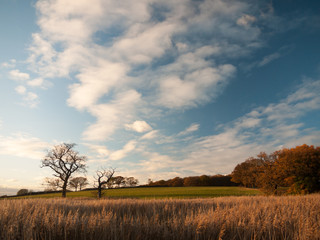 Fototapeta na wymiar beautiful open landscape countryside space blue sky white clouds autumn