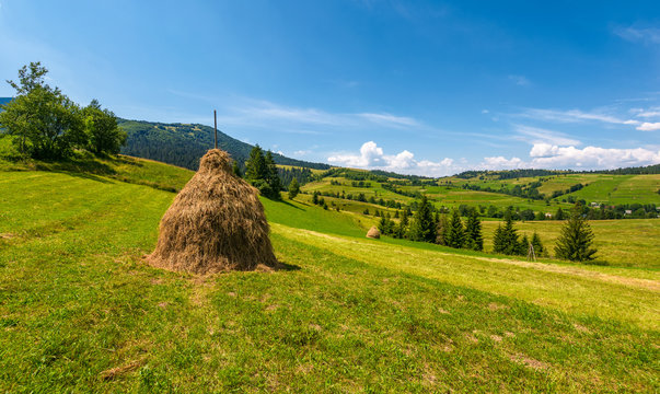 haystack on a grassy rural field in mountains. beautiful countryside landscape with forested hills on a fine summer day
