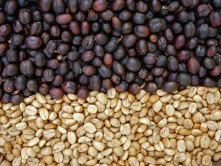 coffee beans berries drying and parchment coffee natural process coffee beans
