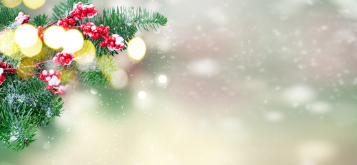 twig with red berries and evergreen fir tree twig over gray bokeh background with snow drops banner