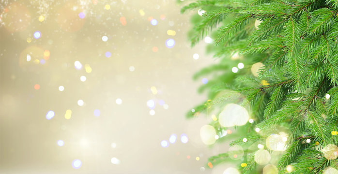 christmas background with fir tree, golden bokeh lights in bakground banner