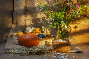 Still life with pumpkins. seeds and flowers