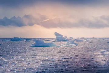 Gordijnen Groenland, arctisch, noordpool: verbazingwekkende ijsberg op de zee, we kunnen dit nog steeds zien voordat de klimaatverandering volledig is © Erwin Barbé