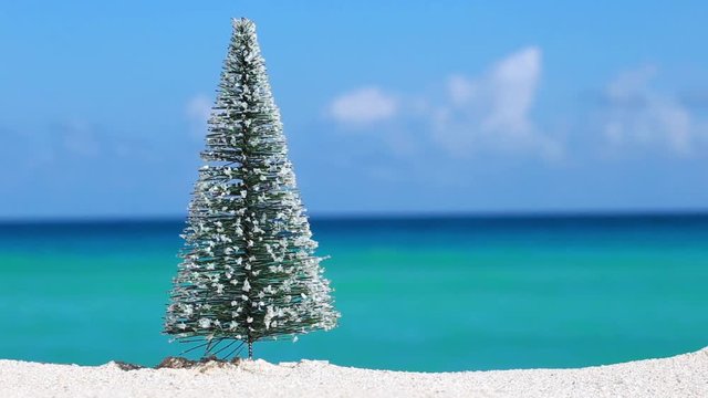 Christmas fir tree on sandy beach. New year celebration