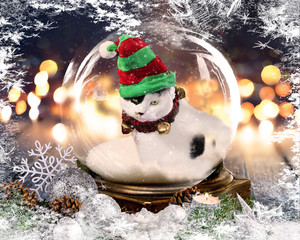 Grinch Cat in a Snow Globe 