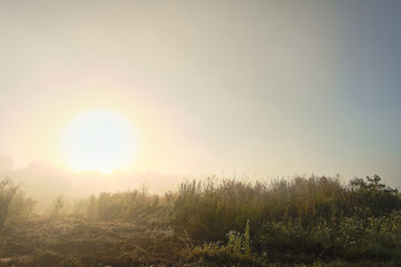 Beautiful foggy morning outside city in summer