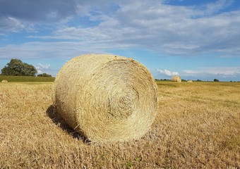 straw bale on a field