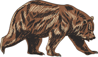 Cartoon animal vector drawing isolated white background