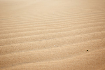 texture of yellow sand