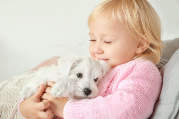 Little cute girl with puppy at home