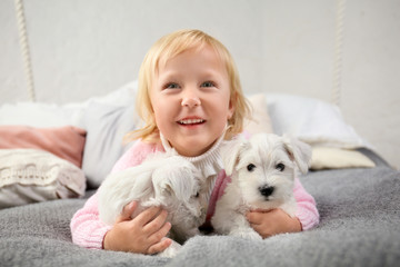 Little cute girl with puppies at home