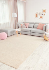 Modern living room interior with sofa and carpet