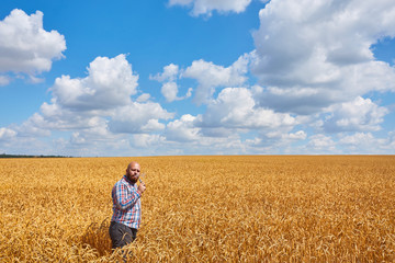 Naklejka na ściany i meble farmer smokes electronic cigarette in a ripe field of wheat with blue sky, great harvest